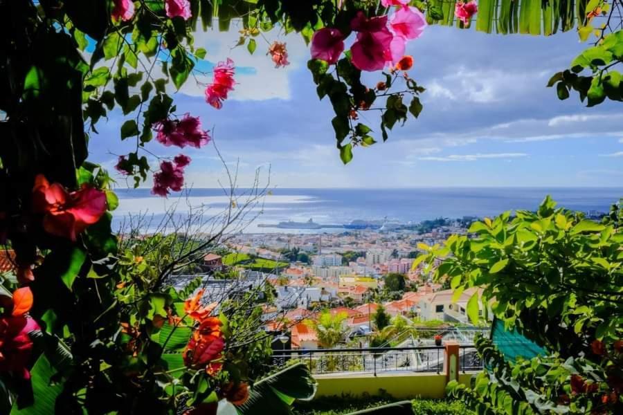 Granny'S House View Villa Funchal  Exteriör bild