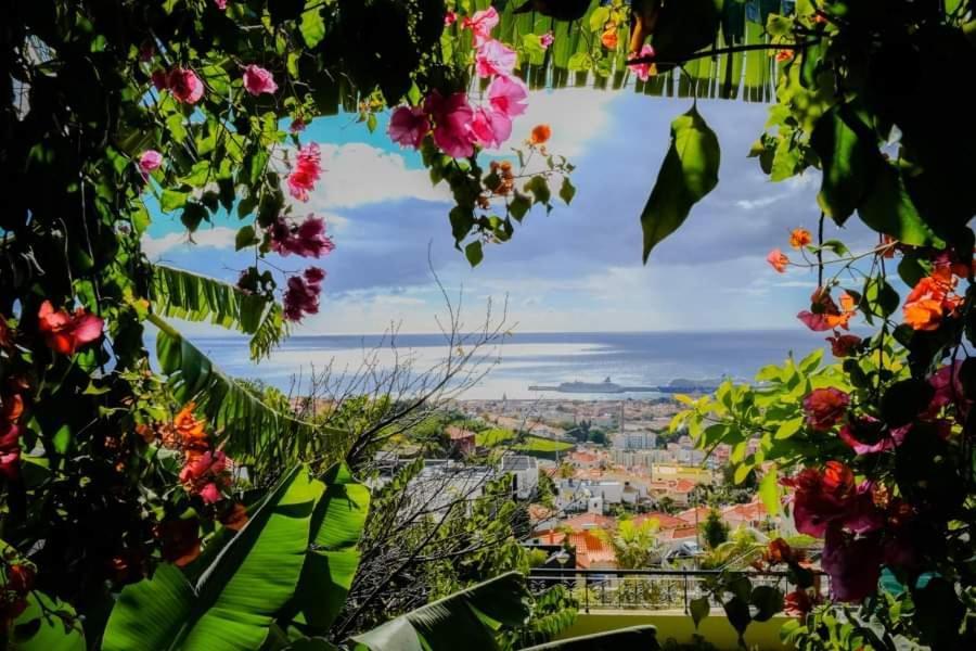 Granny'S House View Villa Funchal  Exteriör bild