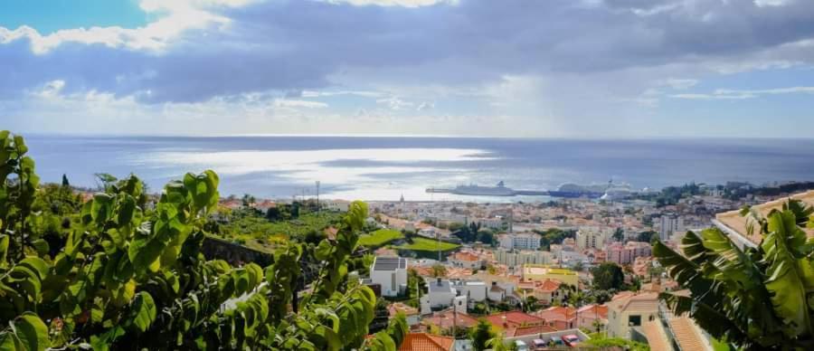 Granny'S House View Villa Funchal  Exteriör bild